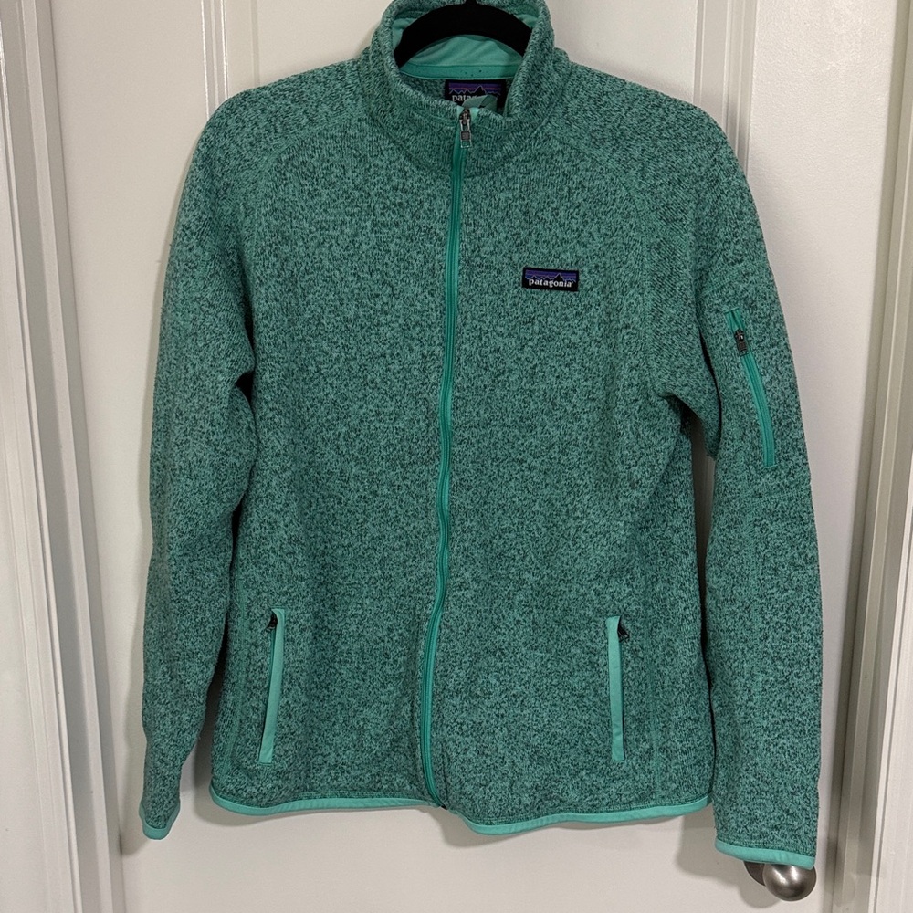 Teal Patagonia better sweater